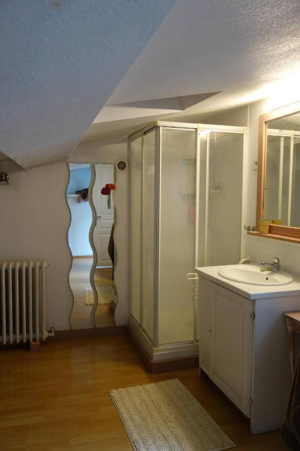 Bel Appartement Au Coeur Du Puy En Velay Le Puy-en-Velay Εξωτερικό φωτογραφία